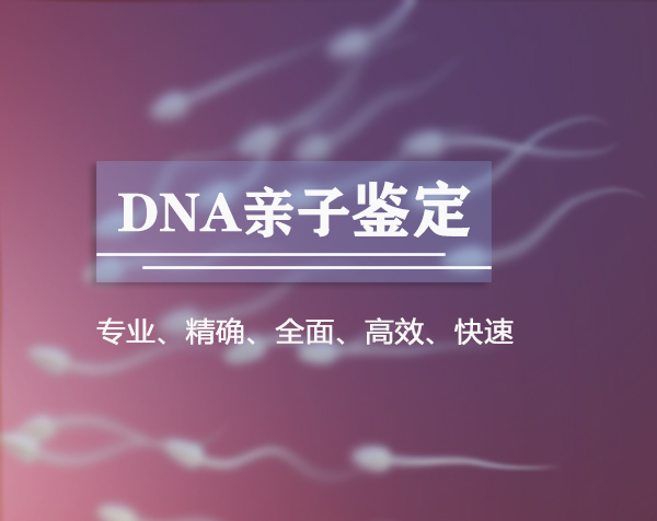 河北匿名亲子鉴定需要什么手续,河北隐私亲子鉴定收费多少钱 河北匿名亲子鉴定需要什么手续,河北隐私亲子鉴定收费多少钱
