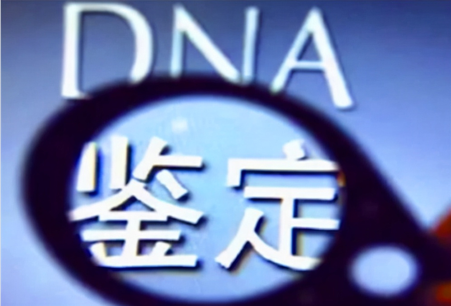河北孕期亲子鉴定机构结果需要多久,
