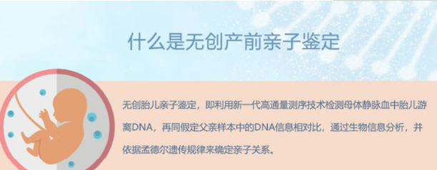 河北怀孕七个月需要怎么办理无创孕期亲子鉴定,河北办理无创孕期亲子鉴定收费明细 河北怀孕七个月需要怎么办理无创孕期亲子鉴定,河北办理无创孕期亲子鉴定收费明细