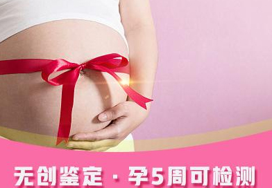 河北怀孕37天如何做无创产前亲子鉴定,河北办理无创产前亲子鉴定大概多少费用