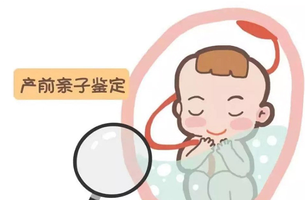 河北怀孕亲子鉴定流程,